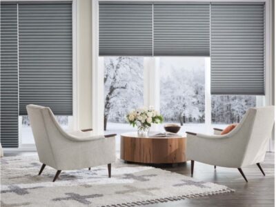 Gray Cellular honeycomb shades in living room