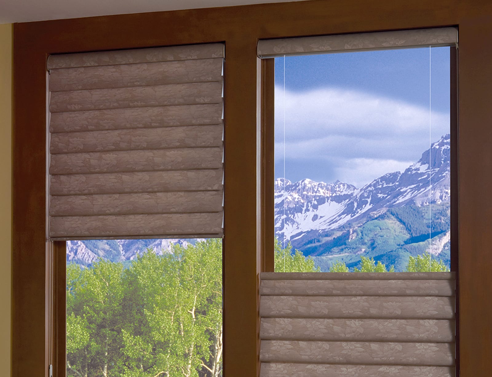 Top down bottom up roman shades.