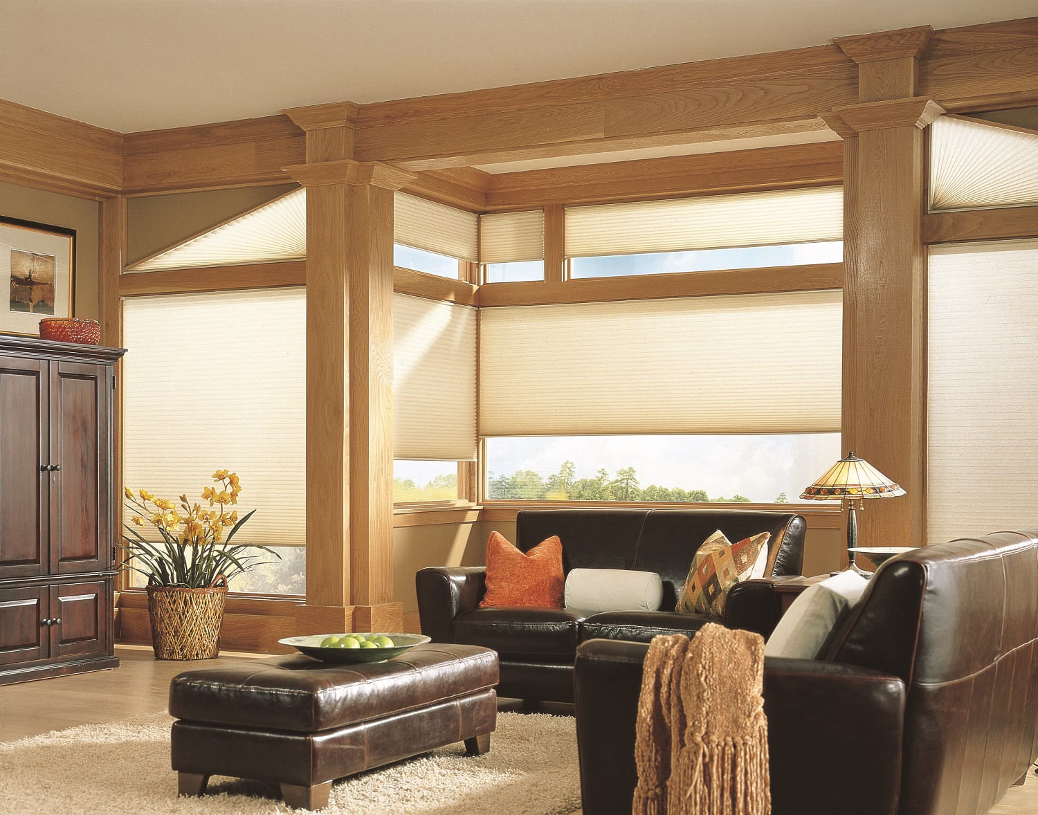 Honeycomb shades on upper and lower windows.
