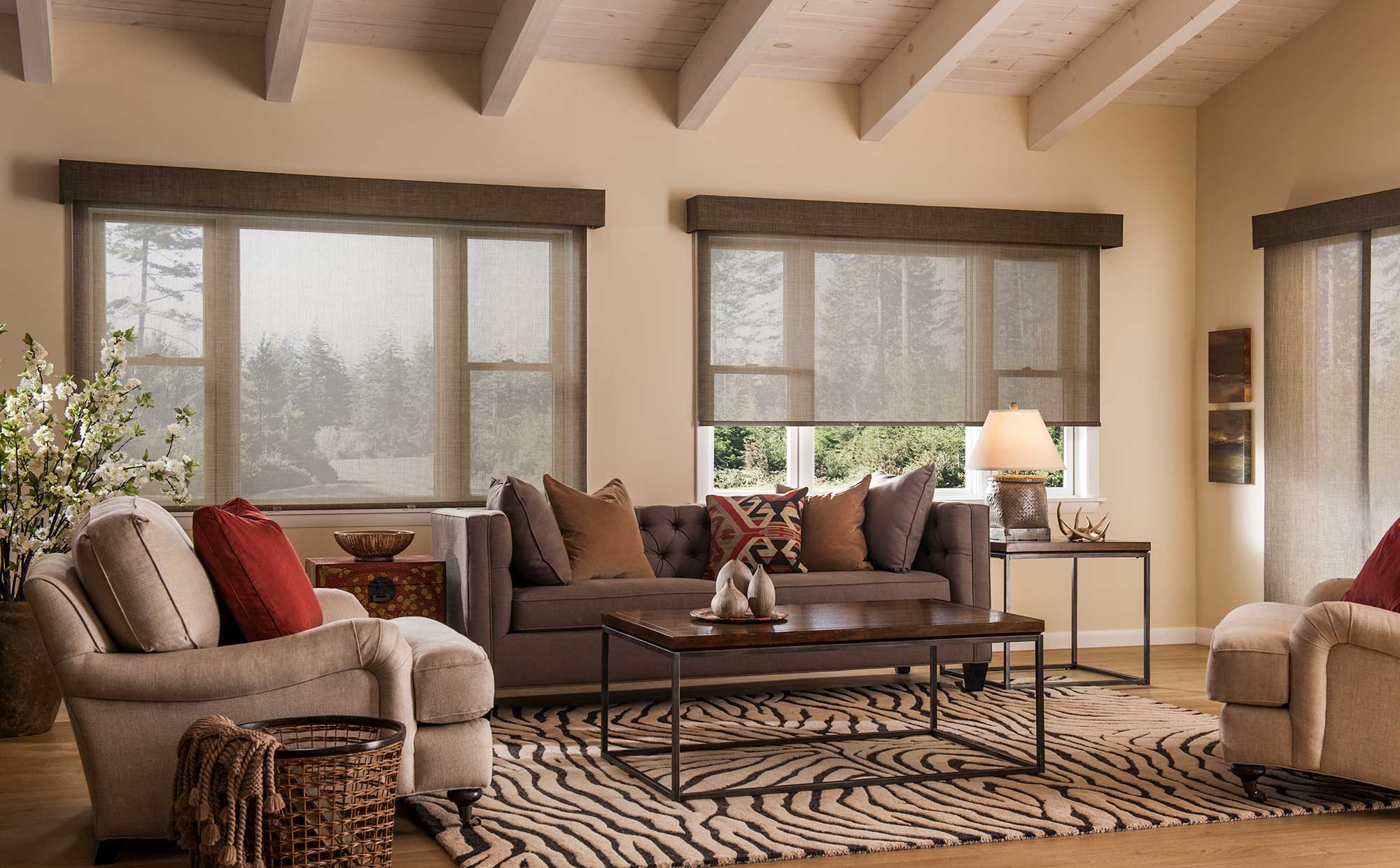 Roller shades in a living room.