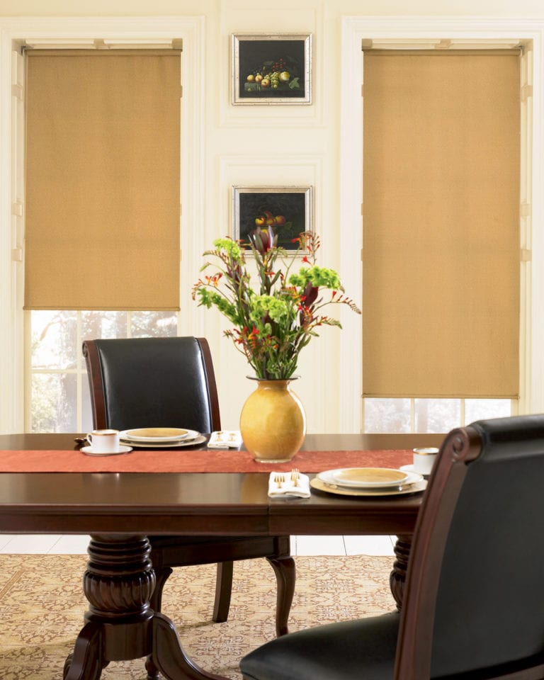 Room Darkening vs Light filtering Blind Spot